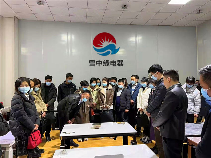 寧陜縣政府Ling導參觀(guān)與視察